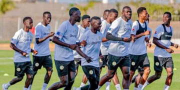 Equipe Nationale : Les Lions vont préparer l’Angleterre et l’Irlande à Diamniadio - wiwsport