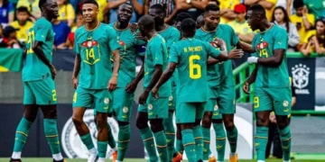 Equipe Nationale : Les Lions joueront l'Irlande en amical, en juin - wiwsport