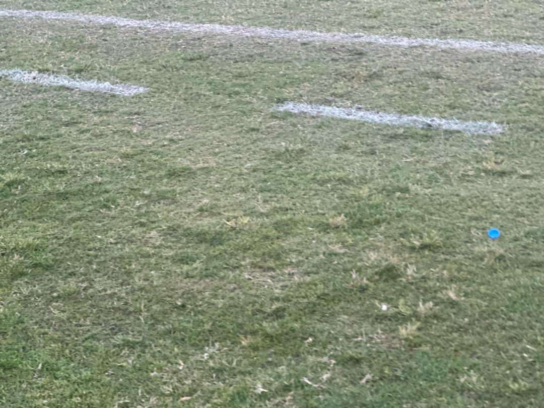 Reportage : Lat Dior à l’agonie, une pelouse qui "disparaît" sous le poids de la négligence - wiwsport