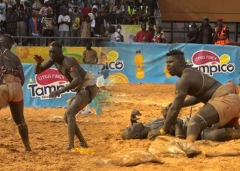 Tapha Maada, le lutteur de l’écurie "Grand Médine Mbollo", arrêté pour trafic de drogue - wiwsport