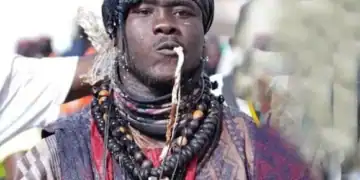 Lutteur Niang Ballo condamné à six mois de prison, dont un mois ferme - wiwsport