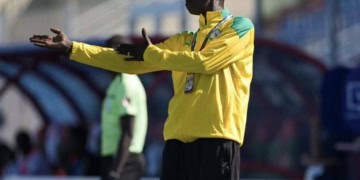 CAN U17 - Pape Ibrahima Faye, sélectionneur des Lionceaux « Un match poussif, mais une victoire importante » - wiwsport