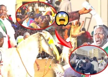 À coup de gaz lacrymogène, la Police met fin à l’open press de Ada Fass - Le SG de l’écurie Fass Benno déverse sa bile : « Ce qui s’est passé est inexplicable… » - wiwsport