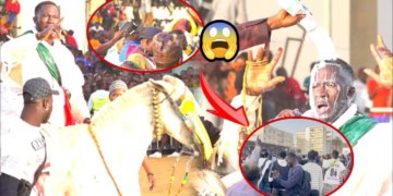 À coup de gaz lacrymogène, la Police met fin à l’open press de Ada Fass - Le SG de l’écurie Fass Benno déverse sa bile : « Ce qui s’est passé est inexplicable… » - wiwsport