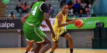 Basket - Coupe du maire / Dames : DUC, DBALOC, ASCVD et Jeanne d’Arc dans le dernier carré ! - wiwsport