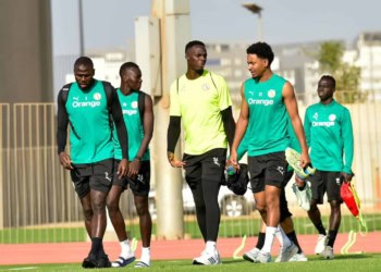 Amicaux juin - Initialement prévu à Dakar, le regroupement des Lions se fera finalement à Dublin - wiwsport