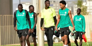 Amicaux juin - Initialement prévu à Dakar, le regroupement des Lions se fera finalement à Dublin - wiwsport