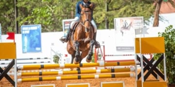 LIVE - CSO : Suivez en direct l’épreuve de la Nationale 2 ! - wiwsport