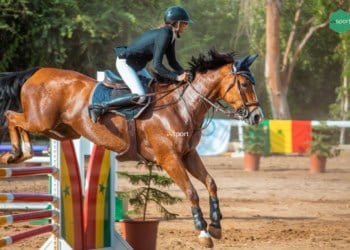 FEI Jumping World Challenge (Q) – Catégorie C : Anaïs Grange survole la première journée ! - wiwsport