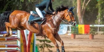 FEI Jumping World Challenge (Q) – Catégorie C : Anaïs Grange survole la première journée ! - wiwsport