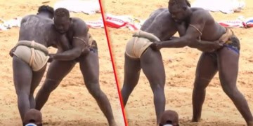 CLAF 2025 : Eumeu Sène Jr quasiment en finale, Sèye Jambaar pas au niveau, Mame Mor bu Fass en ballotage, le point sur le groupe B - wiwsport