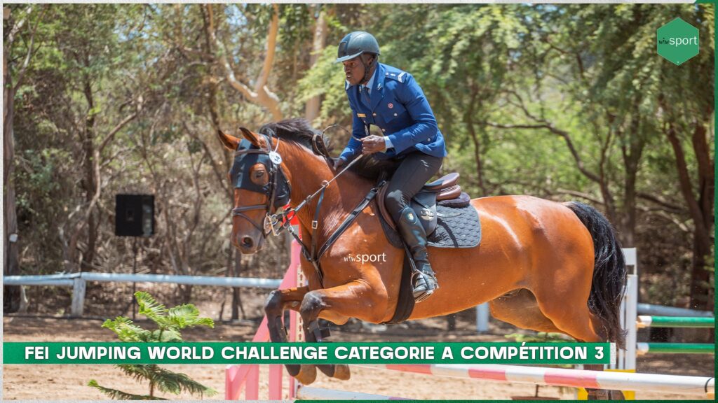 LIVE - FEI World Jumping Challenge : Suivez la deuxième journée des qualifications - catégorie A - wiwsport