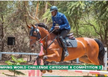 LIVE - FEI World Jumping Challenge : Suivez la deuxième journée des qualifications - catégorie A - wiwsport