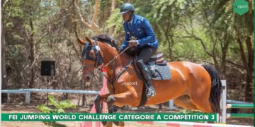 LIVE - FEI World Jumping Challenge : Suivez la deuxième journée des qualifications - catégorie A - wiwsport