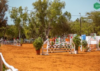 LIVE - Equitation : Suivez en direct l’épreuve de Nationale 1 au Cercle de l’Etrier ! - wiwsport
