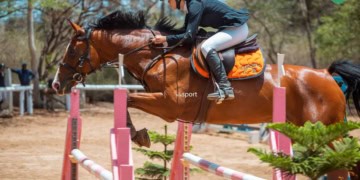 FEI Jumping World Challenge (Q) : Lou Jacobe s’impose lors de la première journée en catégorie B ! - wiwsport