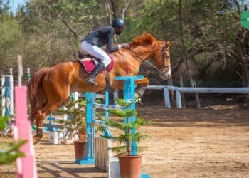 LIVE - Suivez en direct la première journée des qualif’ du World Jumping Challenge - Catégorie B ! - wiwsport