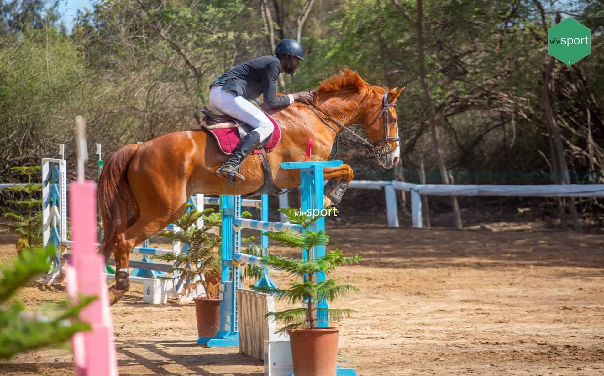 LIVE - Suivez en direct la première journée des qualif’ du World Jumping Challenge - Catégorie B ! - wiwsport