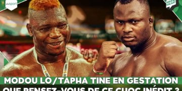 LIVE - Wax Sa Xalaat : Suivez en direct le débat sur « Modou Lo/Tapha Tine en gestation Que pensez-vous de ce choc inédit ? »  - wiwsport