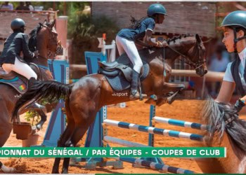 Equitation - suivez en direct la Coupe des Clubs et le championnat du Sénégal ! - wiwsport