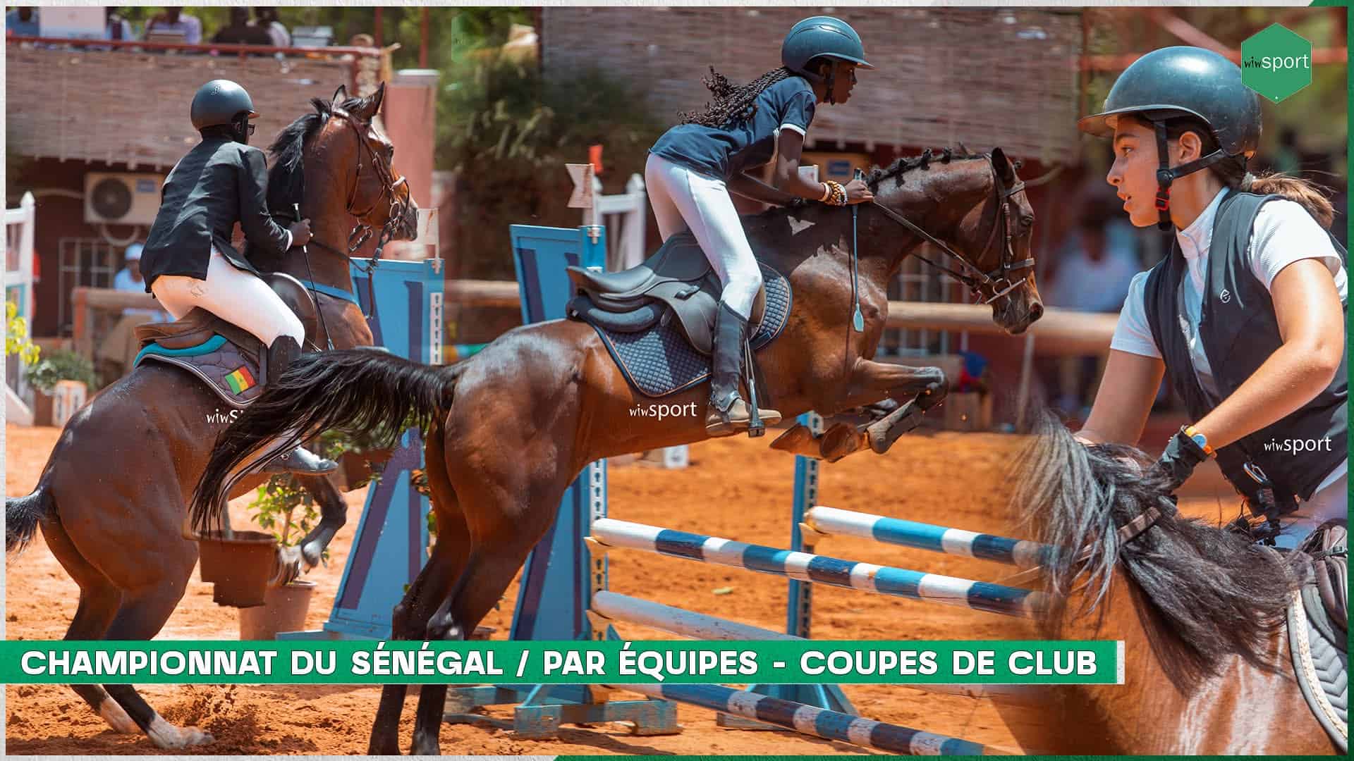 Equitation - suivez en direct la Coupe des Clubs et le championnat du Sénégal ! - wiwsport Equitation - suivez en direct la Coupe des Clubs et le championnat du Sénégal ! - wiwsport
