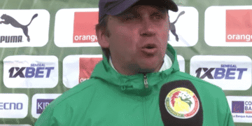 Teddy Pellerin : « On ne peut pas se permettre d’hypothéquer ces deux matchs importants en partageant le temps de jeu » - wiwsport