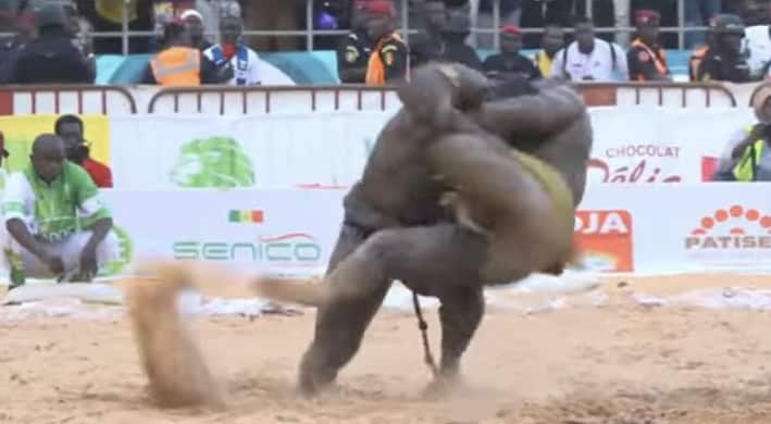 Lamb : (vidéo) Revivez la chute spectaculaire du combat Sa Thiès v Zarco ! - wiwsport Screenshot