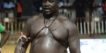 Quel adversaire pour le 3e tigre de Fass ? Gris Bordeaux : « Je ne manque pas d’adversaire, je suis à l’écoute des promoteurs… » - wiwsport