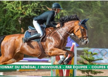 Équitation - Suivez en direct le Championnat National Minimes ! - wiwsport