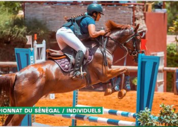 Équitation - Suivez en direct le Championnat national des clubs amateurs ! - wiwsport
