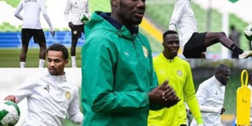 Équipe Nationale - Irlande vs Sénégal : un match amical, de vrais enjeux ! - wiwsport