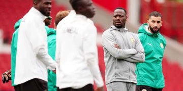 Amical : Les Lions avec un onze de gala contre l'Angleterre - wiwsport