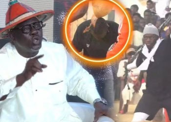 Tapha Guèye relativise la défaite de son fils : « Mbaye Guèye aussi avait perdu son premier combat » - wiwsport