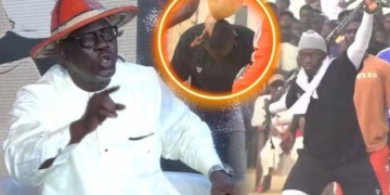 Tapha Guèye relativise la défaite de son fils : « Mbaye Guèye aussi avait perdu son premier combat » - wiwsport