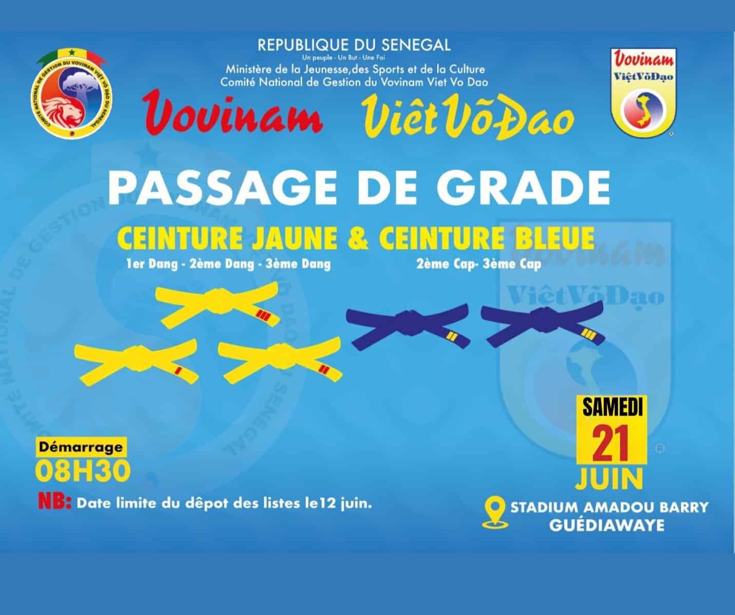 Vovinam Viet Vo Dao – Week-end décisif entre montée en grade et avenir institutionnel - wiwsport