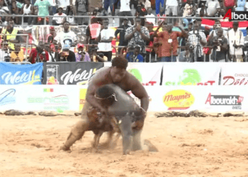 Vidéo : Doudou Sané s'impose devant Serigne Ndiaye 2 - wiwsport