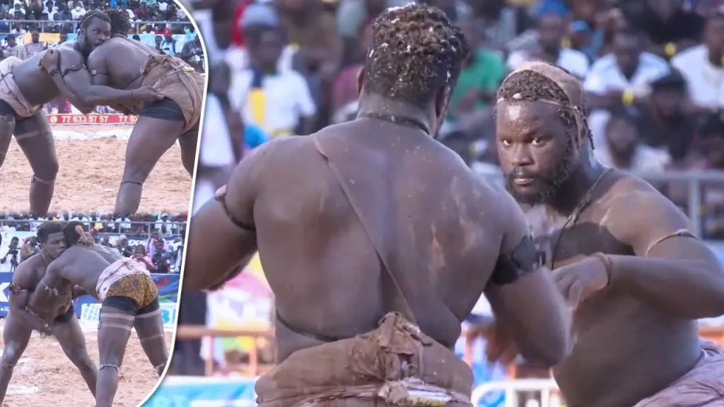 Lamb : Bébé Gouy Gui remporte le CLAF 2025 ! - wiwsport Lamb : Bébé Gouy Gui remporte le CLAF 2025 ! - wiwsport