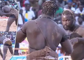 Lamb : Bébé Gouy Gui remporte le CLAF 2025 ! - wiwsport
