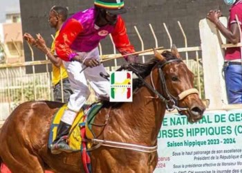 Grand Prix du Chef de l’État : El Capo s’impose et offre une victoire pleine d’émotion à Fallou Diop - wiwsport