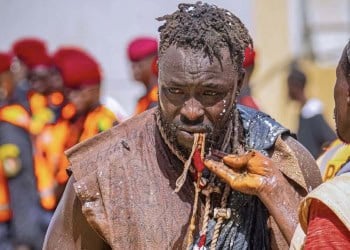 Siteu, l’empereur des Arènes : « Je dédie cette victoire à mon frère Liss Ndiago… » - wiwsport