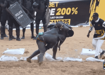 Lamb - Stratégie et rôle de Modou Lo, Franc révèle les clés de sa victoire - wiwsport