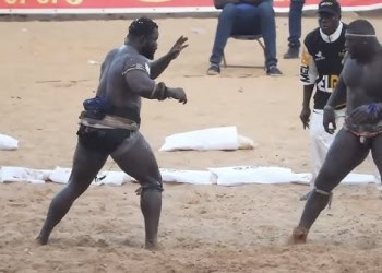 Lamb : Eumeu Sène et Franc se retrouvent ce soir pour un dernier face à face ! - wiwsport
