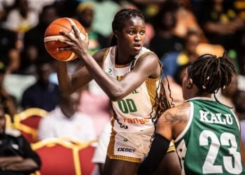 AfroBasket 2025 : Suivez en direct sur wiwsport.com le match Soudan du Sud - Sénégal - wiwsport
