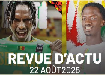 Mercato et Week-end de feu pour les Lions ! - wiwsport