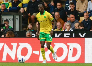 Norwich : Pape Amadou Diallo blessé aux quadriceps et absent plusieurs mois - wiwsport