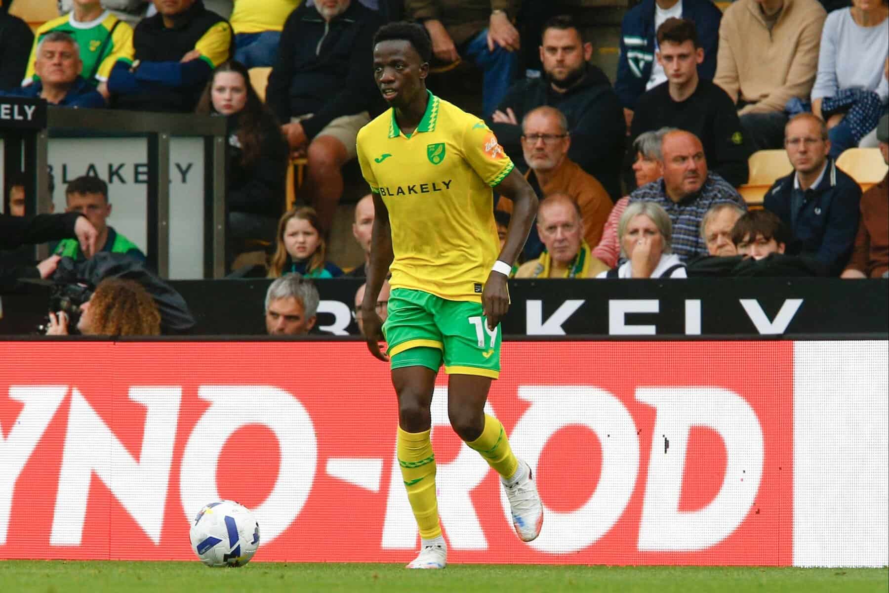 Norwich : Pape Amadou Diallo blessé aux quadriceps et absent plusieurs mois - wiwsport Norwich : Pape Amadou Diallo blessé aux quadriceps et absent plusieurs mois - wiwsport