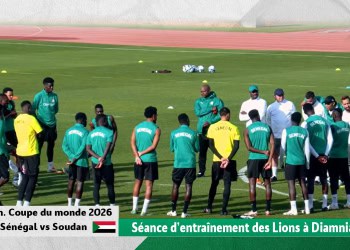 LIVE - Suivez en direct sur wiwsport.com la deuxième séance d’entraînement des Lions ! - wiwsport