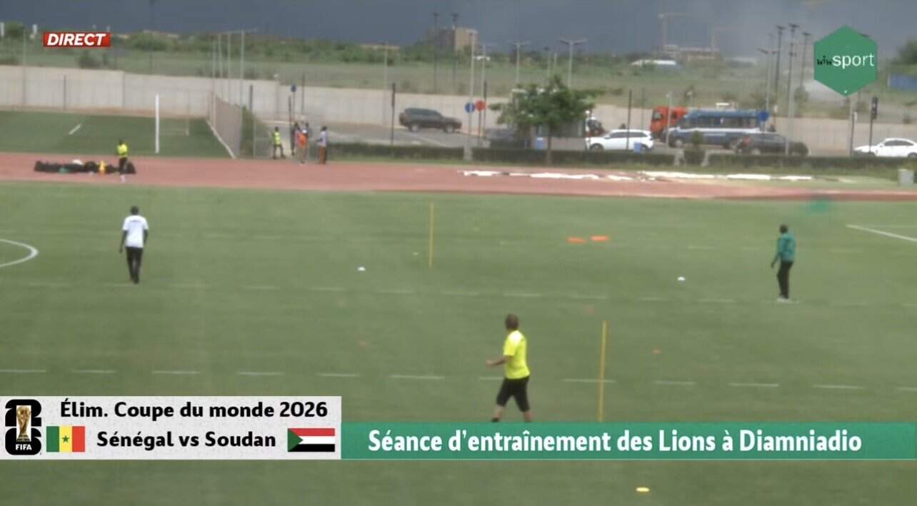 LIVE - Suivez en direct la première séance d'entrainement des Lions pour le regroupement de septembre ! - wiwsport Screenshot