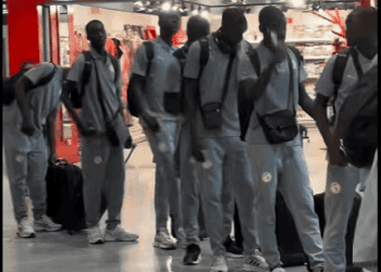 Mondial U17 : Les Lionceaux en route pour le Qatar - wiwsport