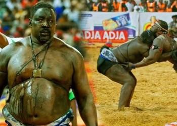 Gris Bordeaux sur son combat contre Jackson Jr : « Je ne veux pas le freiner (…) Je veux un lutteur agressif pour mon retour … » - wiwsport